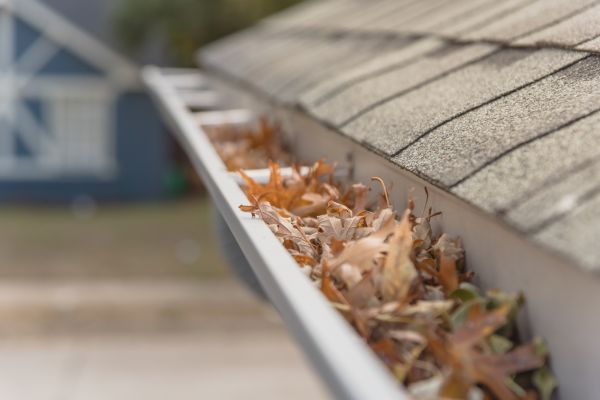 Leaf Barrier Installation in Mesquite
